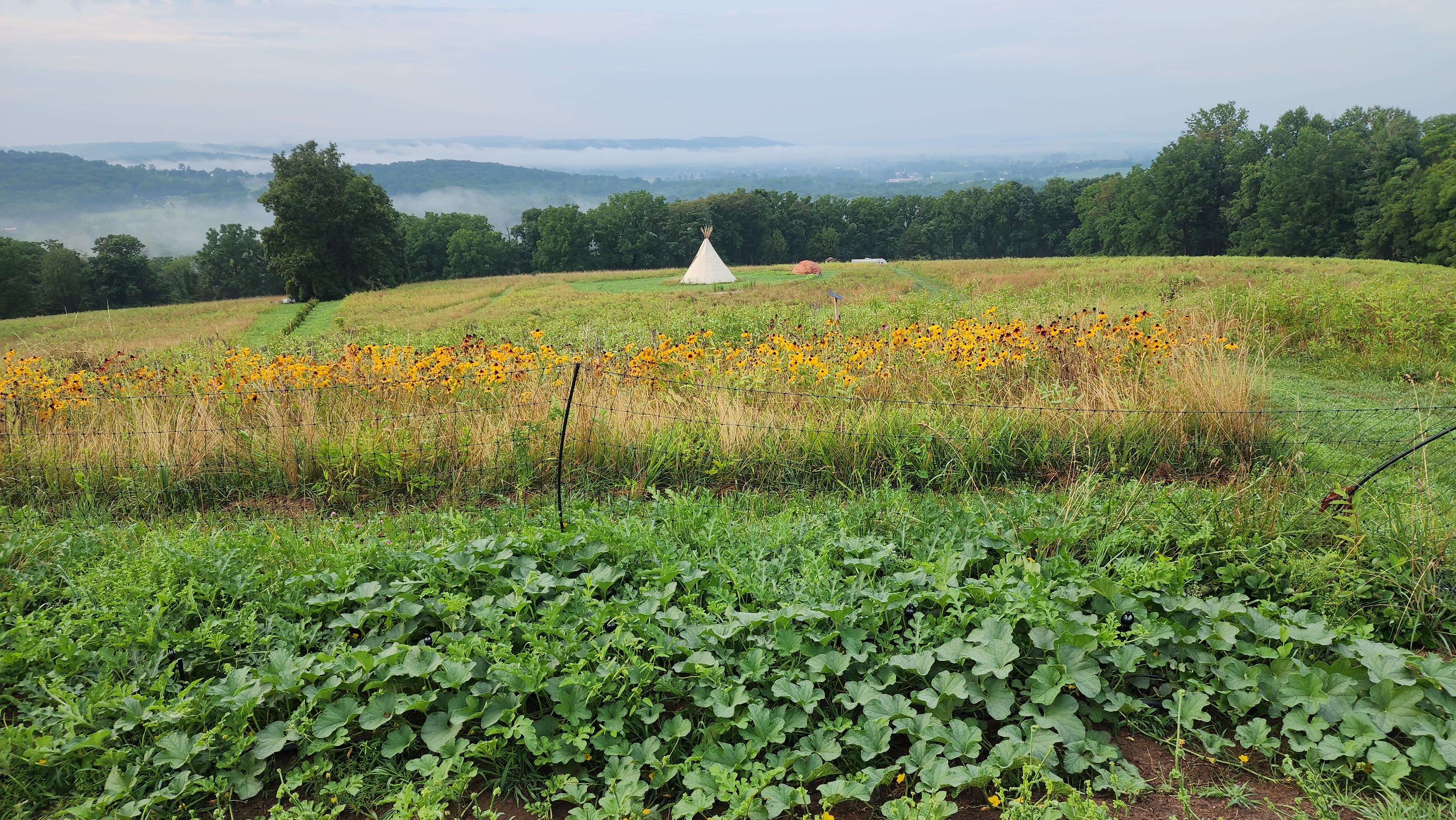 Summer time, food time!
