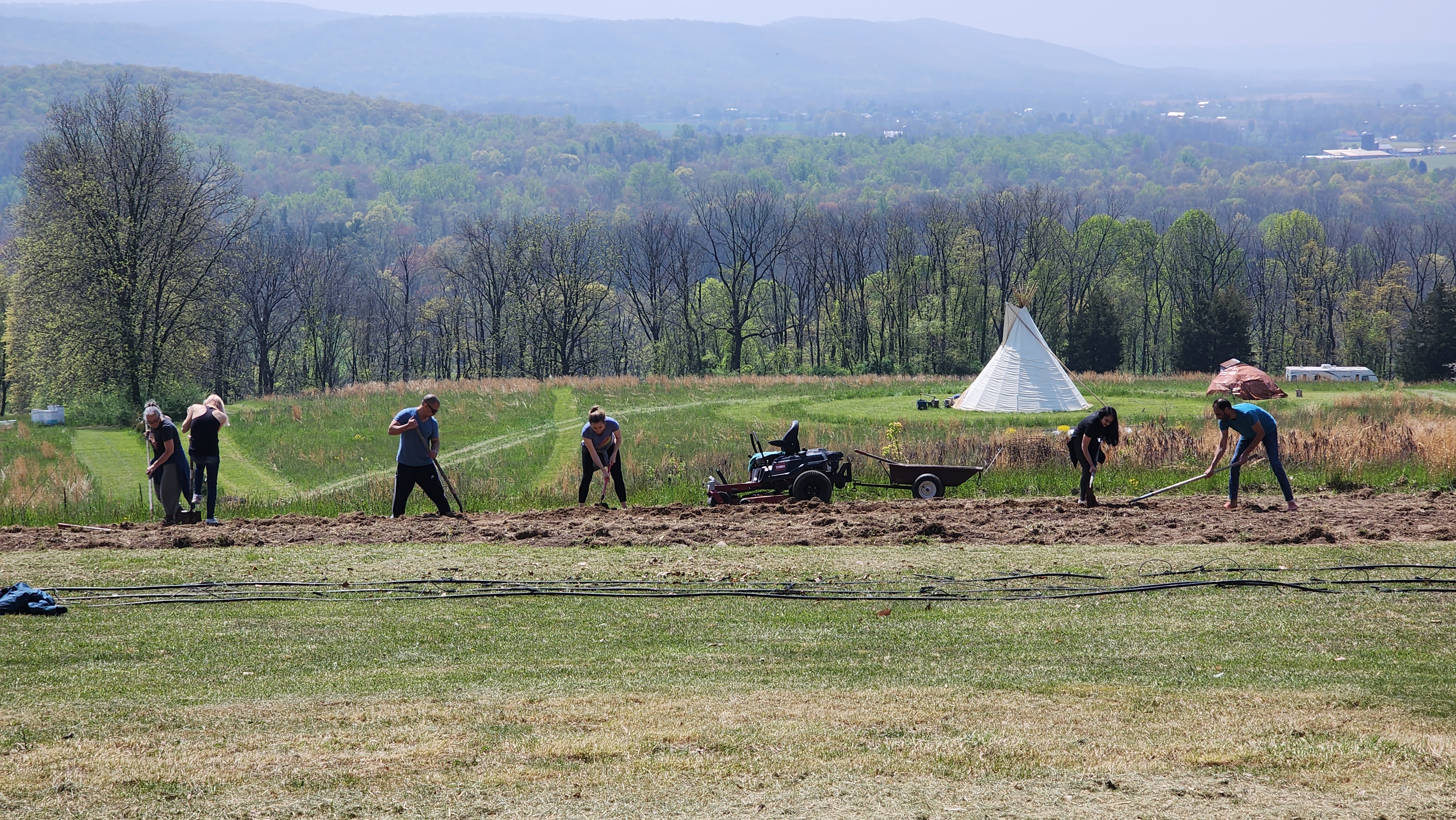 Working in the field
